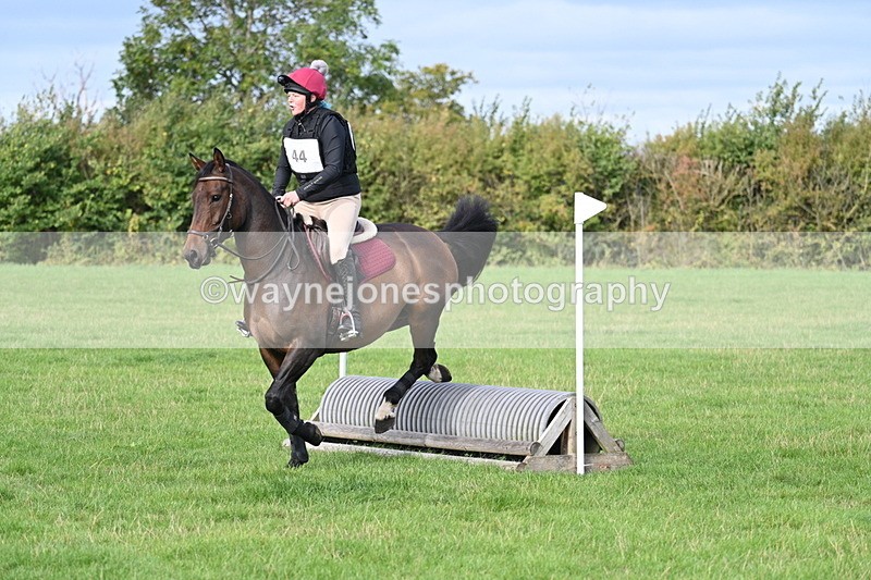 WJ7_8283 - 60cm Pairs