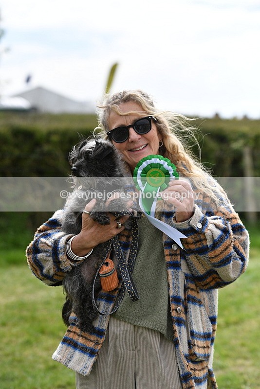 WJ5_9878 - Class 3 Most Handsome Dog