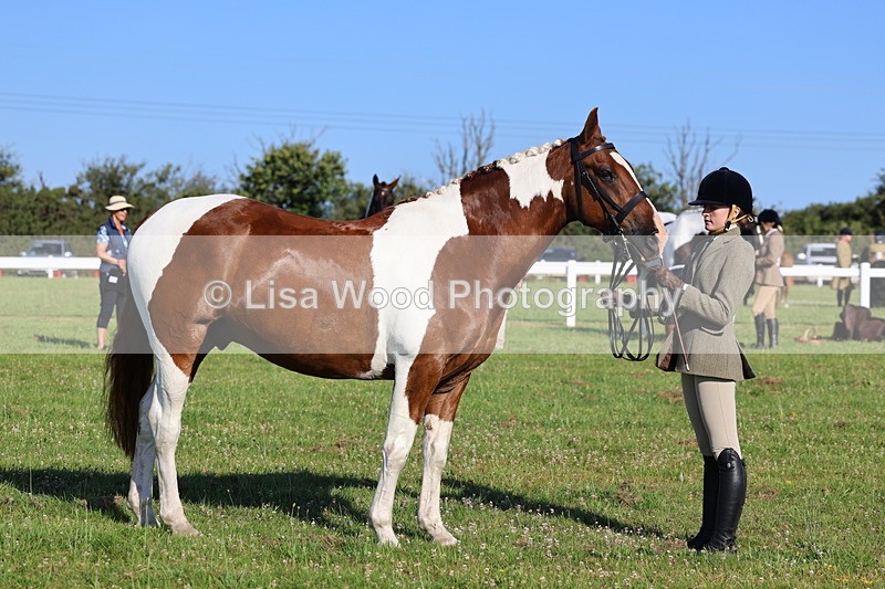 IMG_1314 - Class 27: Ridden Plaited Coloured Horse