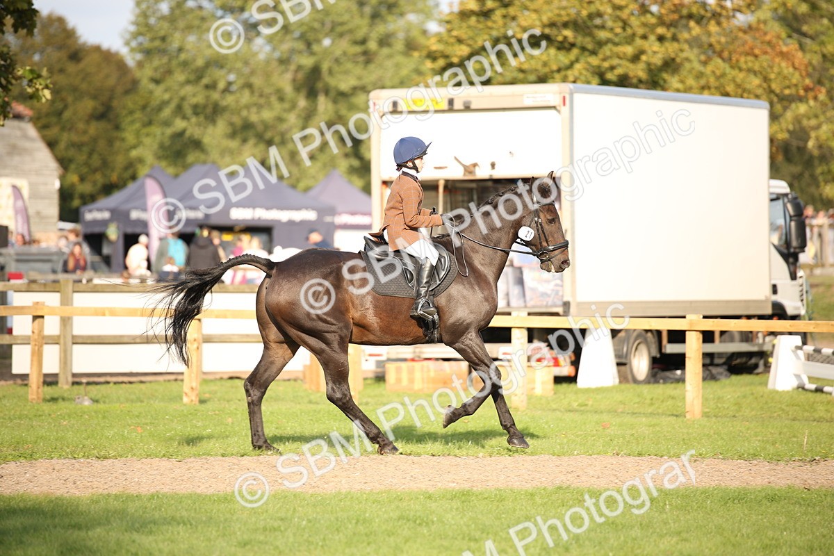 SBM_54302 - S27 - Mature Veteran - Ridden