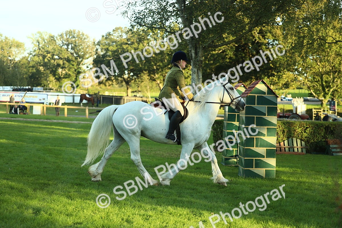 SBM_55620 - S14 - Riding Club Horse