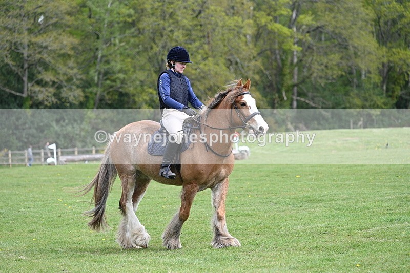 WJ7_6288 - 60cm Time 11:12 to 11:36