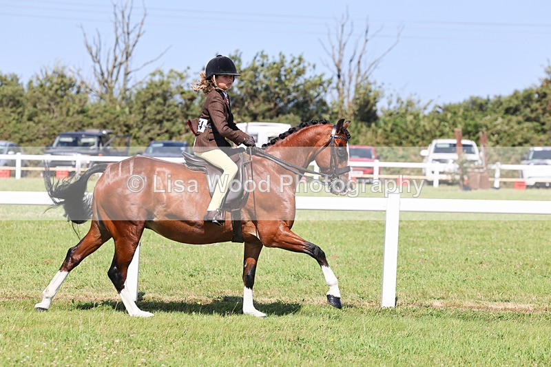 IMG_2001 - Class 34: Show Hunter Pony 153cm and under