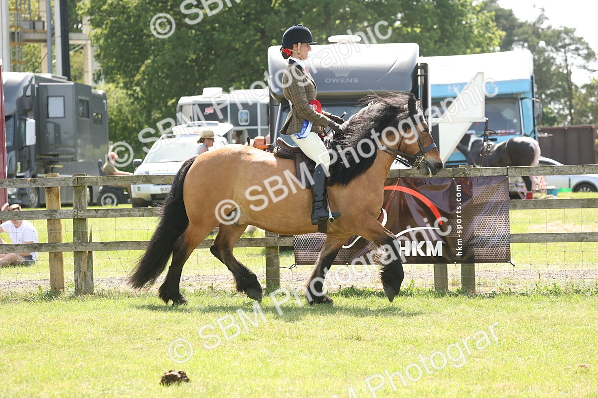 SBM_07752 - Class 26-30 - Mountain and Moorland Ridden