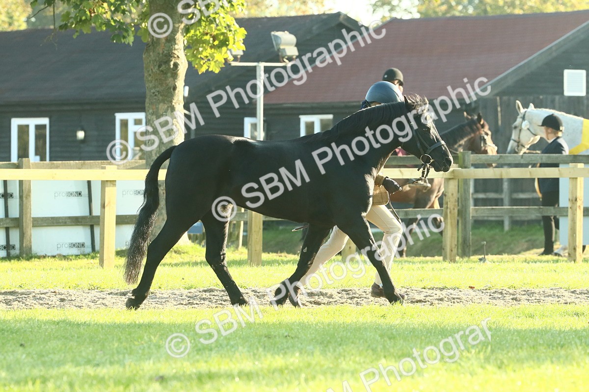 SBM_57343 - S37 - Starters In Hand Showing