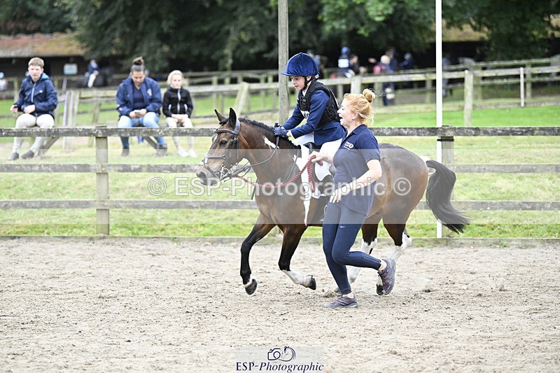 240822X-140733-08800 - 40cm LR R2 13.00 to 15.00