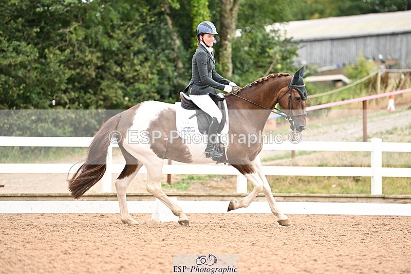 240817A-110319-07268 - 132-Nicky.Turriff-Witchcombe.Music.Man