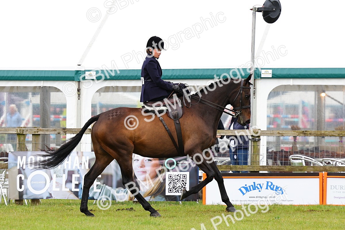 SBM_02767 - Class 9-11 Side Saddle including LIHS Rising Star Ladies Show Horse