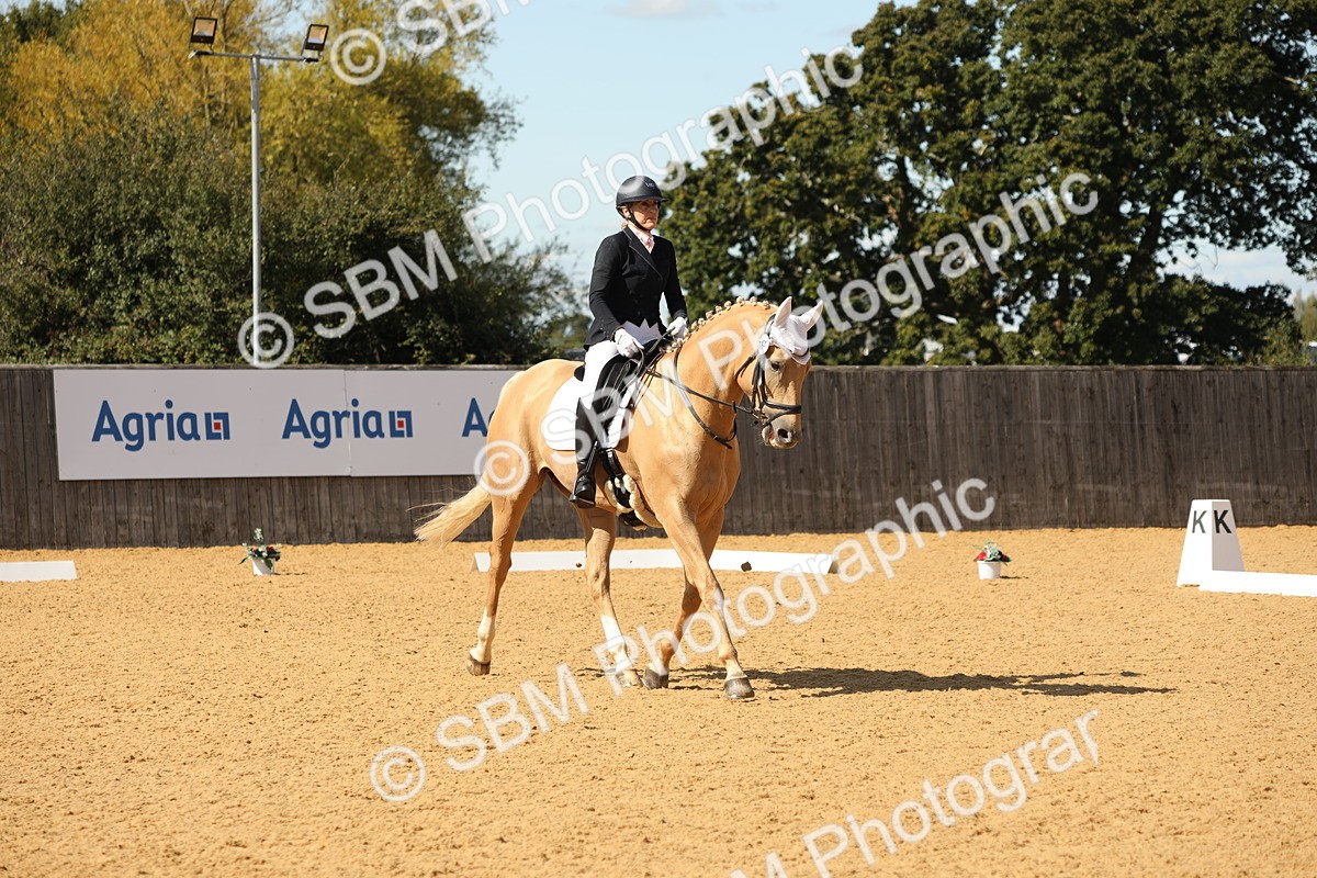 SBM_22333 - D17 - Grand Tour Championship - Novice 27