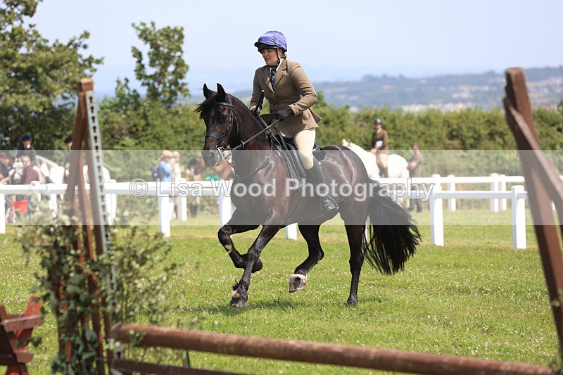 JPP_2547 - Class 21: Working Hunter 60cm