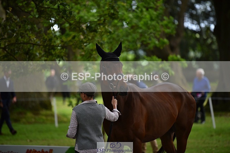 240522-150516-00083 - 305-SWHISKEY-Jeanette_Brakewell