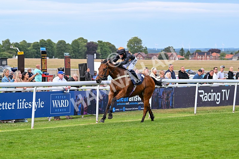 170625-Race 5-Panama City-7100 - Race 5