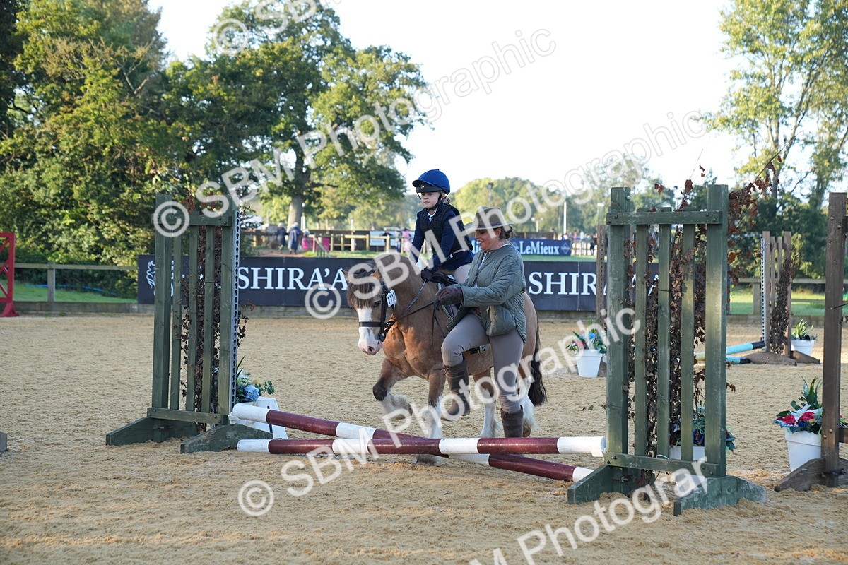 SBM_58928 - J63 - Minis Clear Round 30cm 40cm