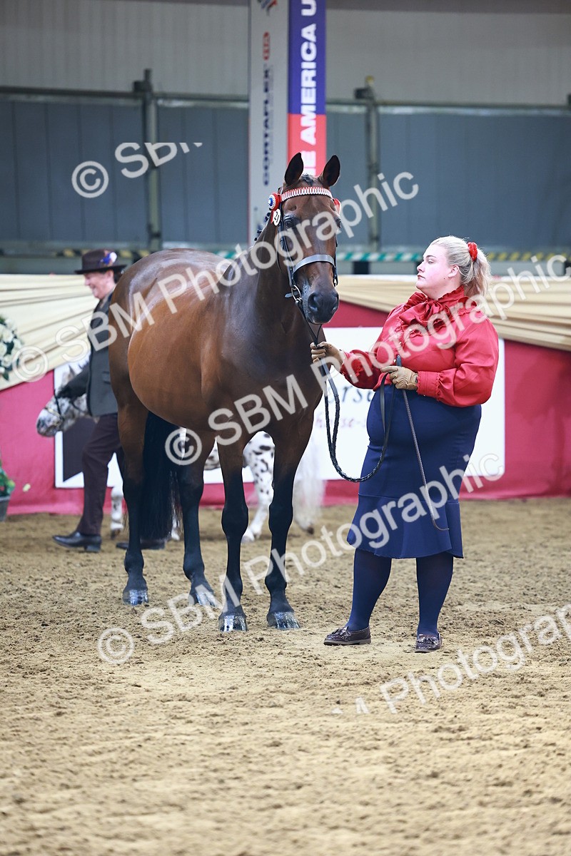 SBM_22306 - Class 902 - Supreme Final - IH Diamond