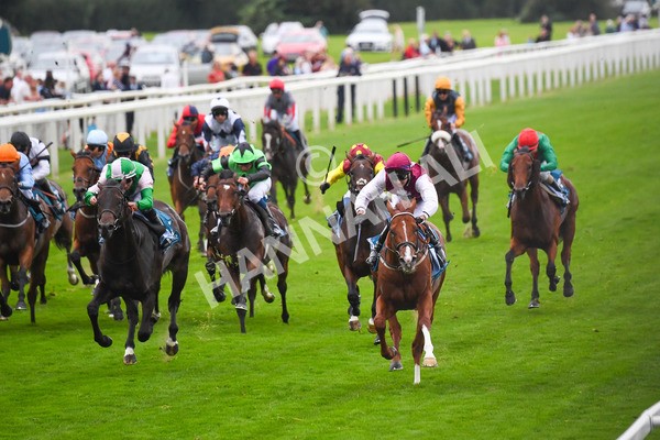 230823-Race 7-Zoulu Chief-0933 - Race 7 5.20pm Sky Bet Nursery Handicap