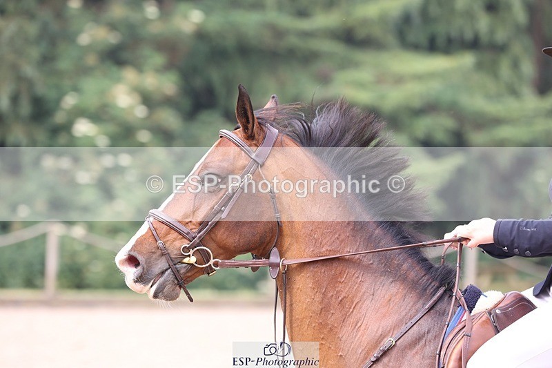 230618-092416-09627 - Cls 19 Pony Intro 1m