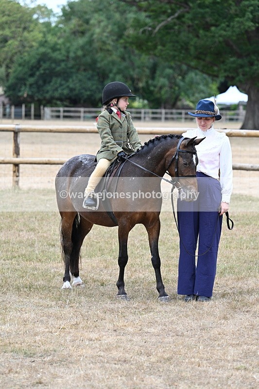 WJ7_0703 - Class 6 Ridden Mountain and Moorland