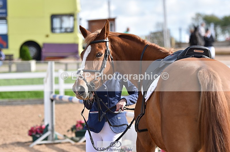 231015A-130730-08210 - Cls 25 95cm Amateur Q 2nd R