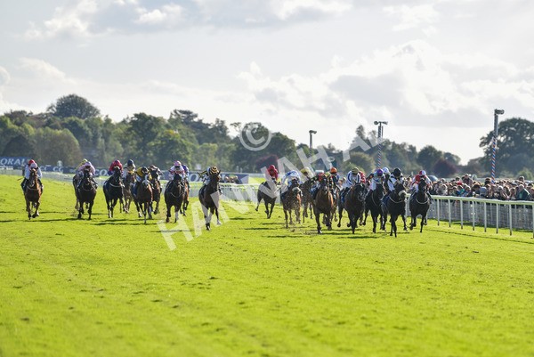 141023-Race 3-Montassib-0971 - Race 3 2.25pm Coral Sprint Trophy Handicap