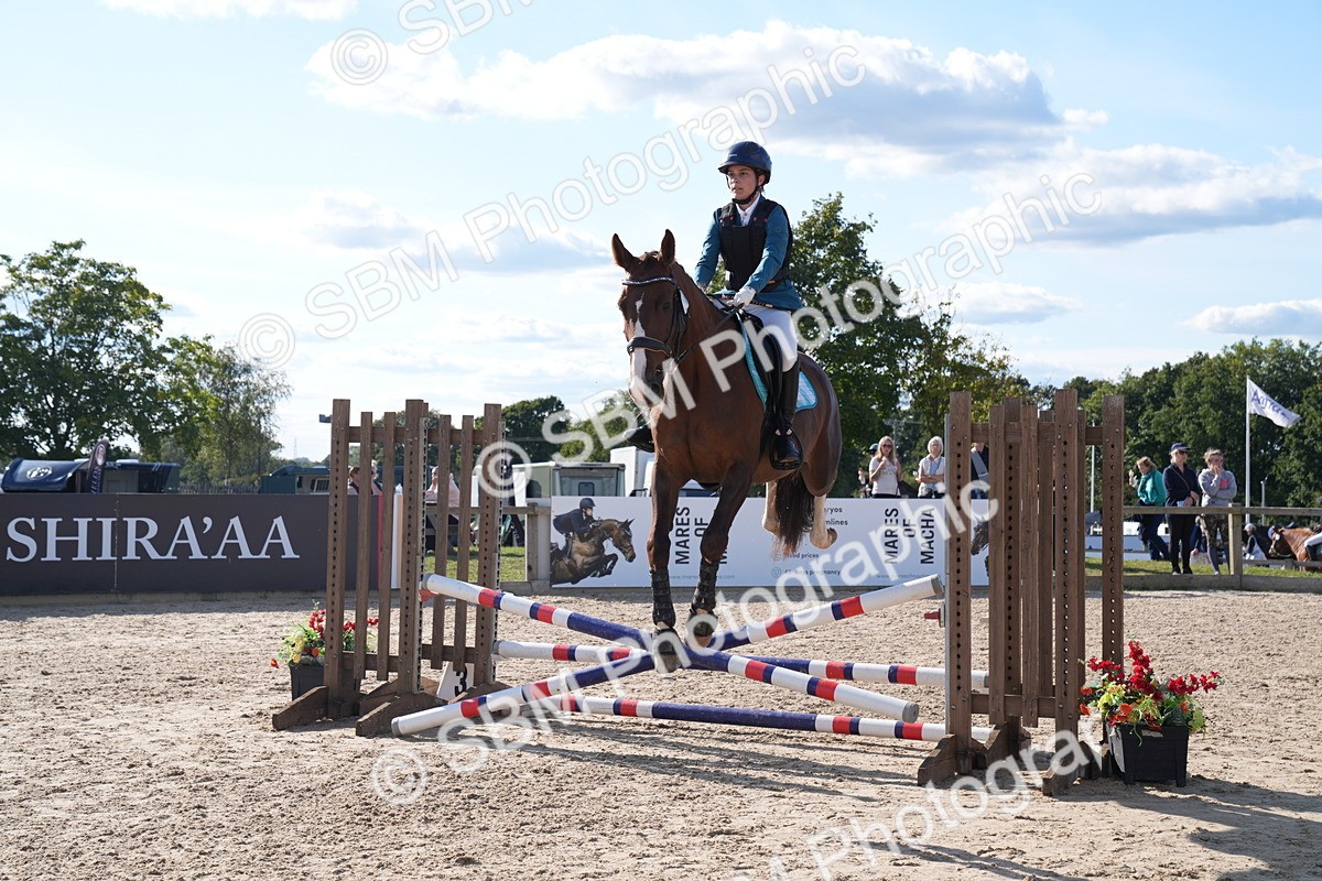 SBM_26103 - J61 - Clear Round 75cm & 85cm