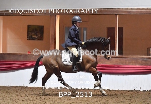 BPP_2513 - 31 - E CLARKSTON