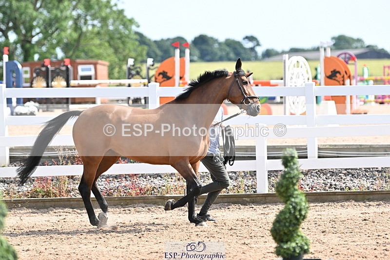 240717A-155819-03236 - Trot Up 3pm to 4pm