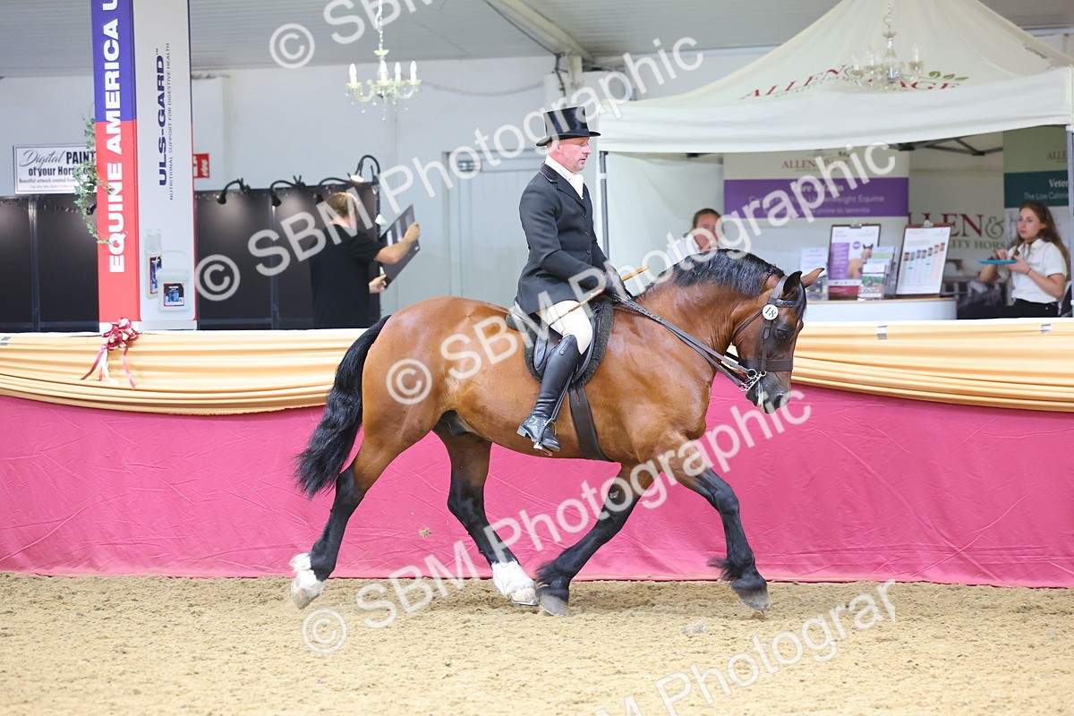 SBM_24321 - Class 906 - Supreme Final - Ridden Pre Vet