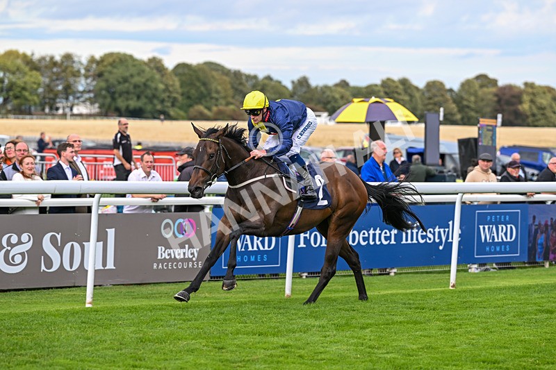 170925-Race 3-Caim-4509 - Race 3