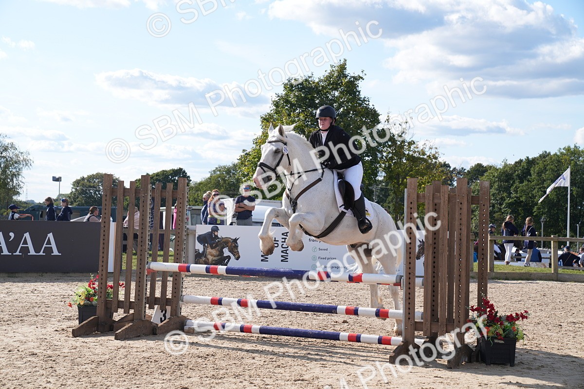 SBM_26056 - J61 - Clear Round 75cm & 85cm