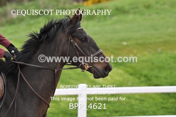 BPP_4621 - CLASS 20 SUN British Novice/90cms Open