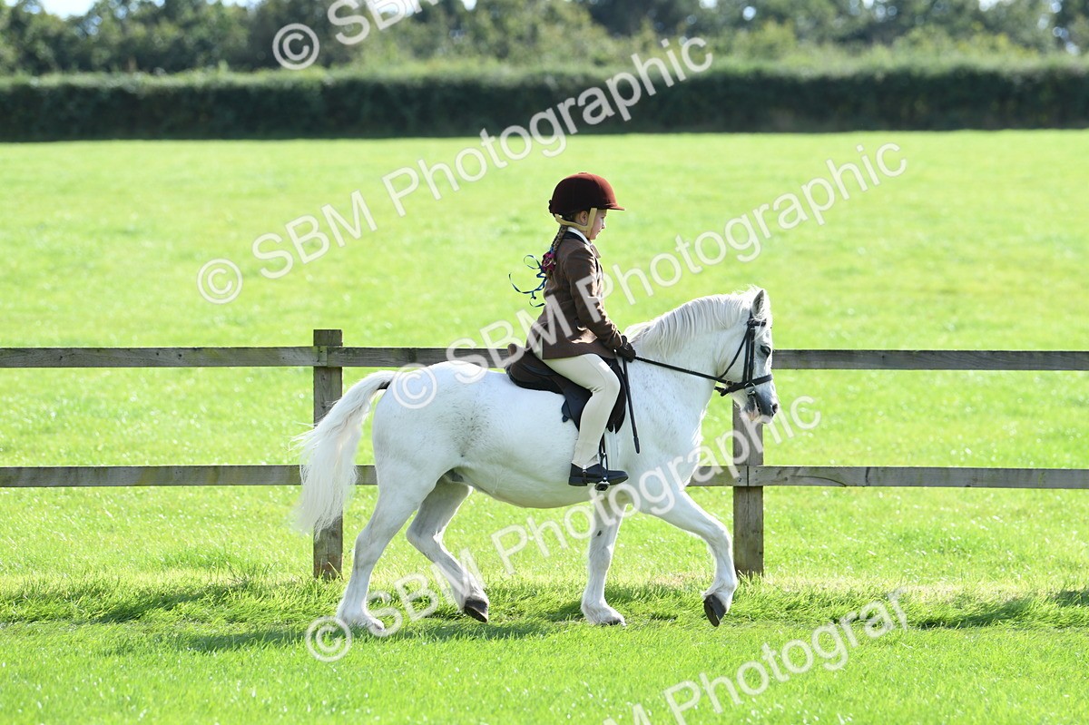 SBM_50264 - S21 - Novice & Newcomers 1st Ridden Pony