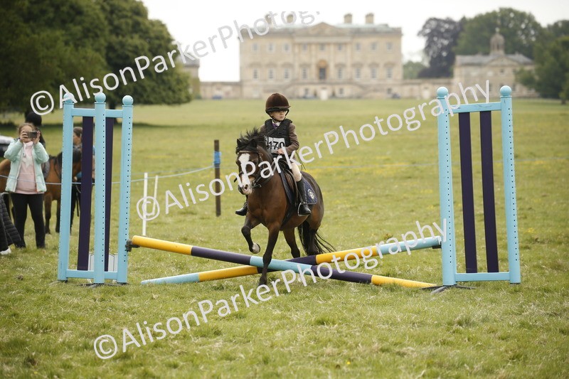 20250517-0721 - Class 2 - 30cm Off Lead Rein
