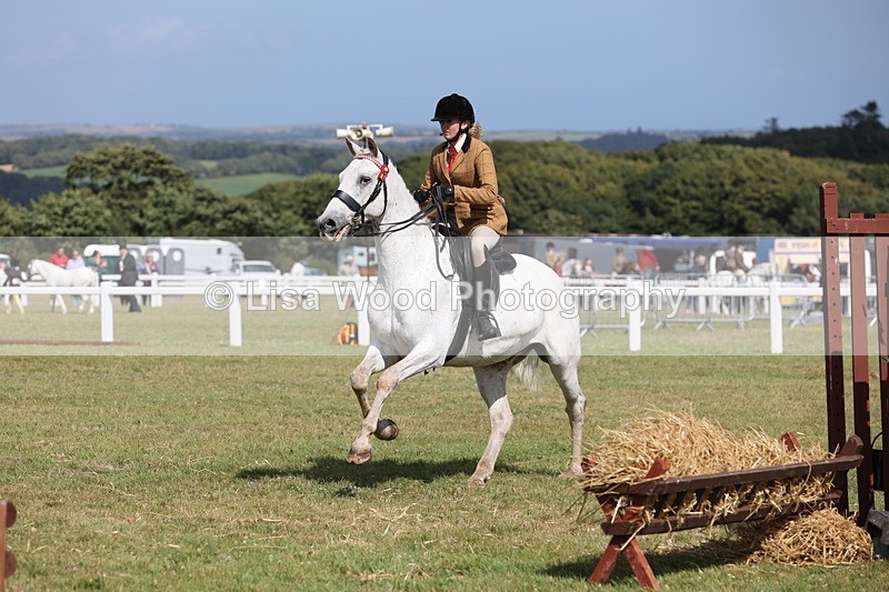 JPP_2492 - Class 20: Working Hunter 70cm