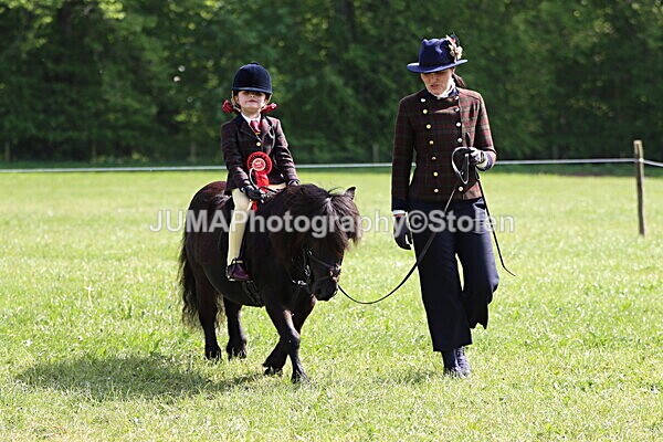 IMG_4901 - Working Hunter