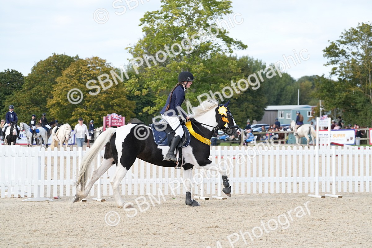SBM_48916 - J22 - Junior Horse 65cm Championship