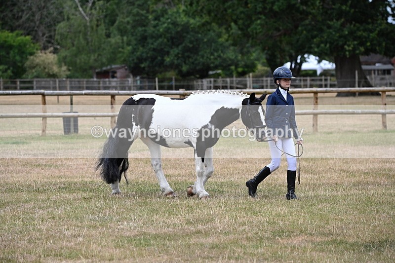 WJ6_4568 - Class 10 Coloured In-hand