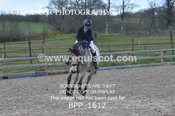 BPP_1612 - CLASS 9 Pony Newcomers/ 1m