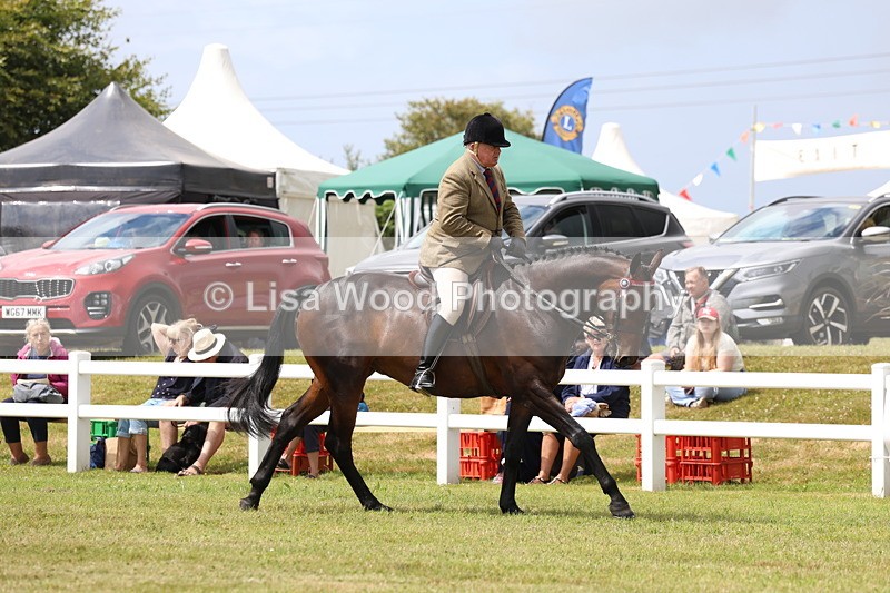 3E7A0874 - Class 8: Open Riding Horse/Hack