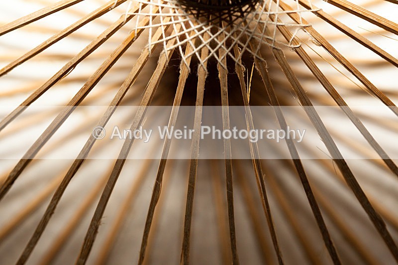 20130219-_MG_2664 - Miscellaneous Photographs