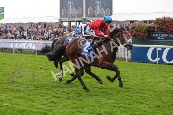 yr09102021r3-19 - Race 3 2.37pm Play Coral Racing-Super-Series For Free Handicap