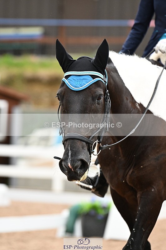 240815A-120608-00924 - 275-Alys.Matravers-Tiger.Mazariti