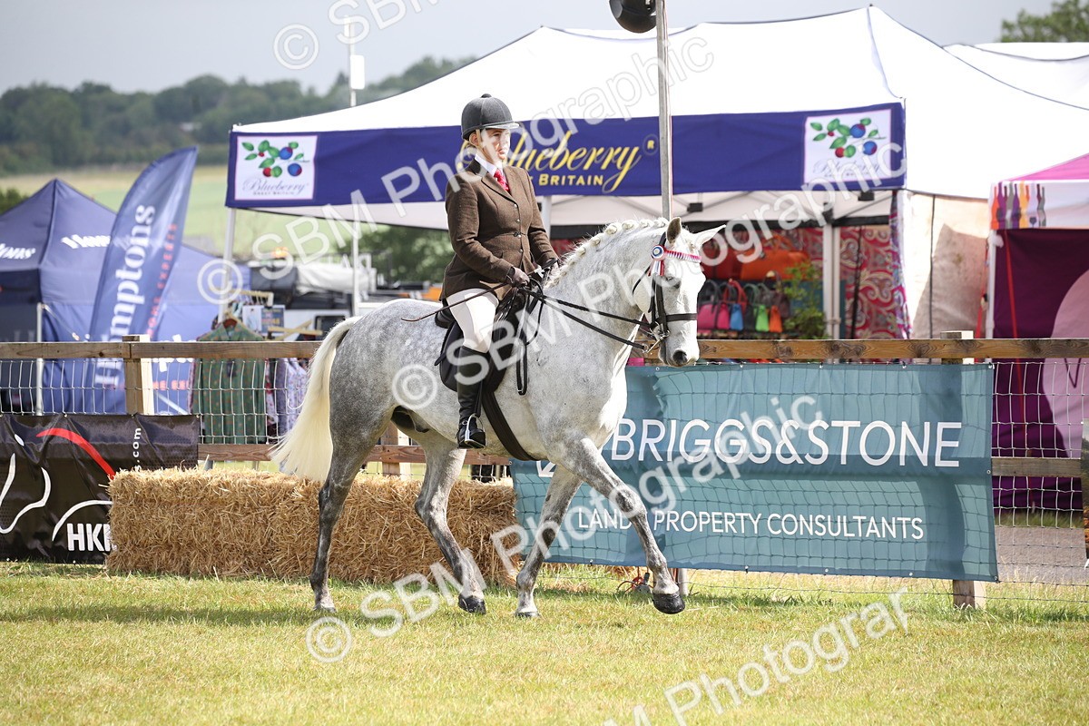 SBM_11500 - Class 95-96 - LIHS BSHA Rising Star Hack Riding Horse