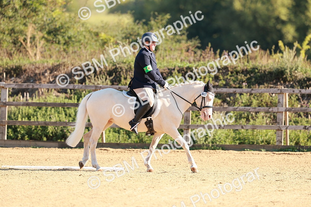 SBM_009097 - Class 1 - Intro 2