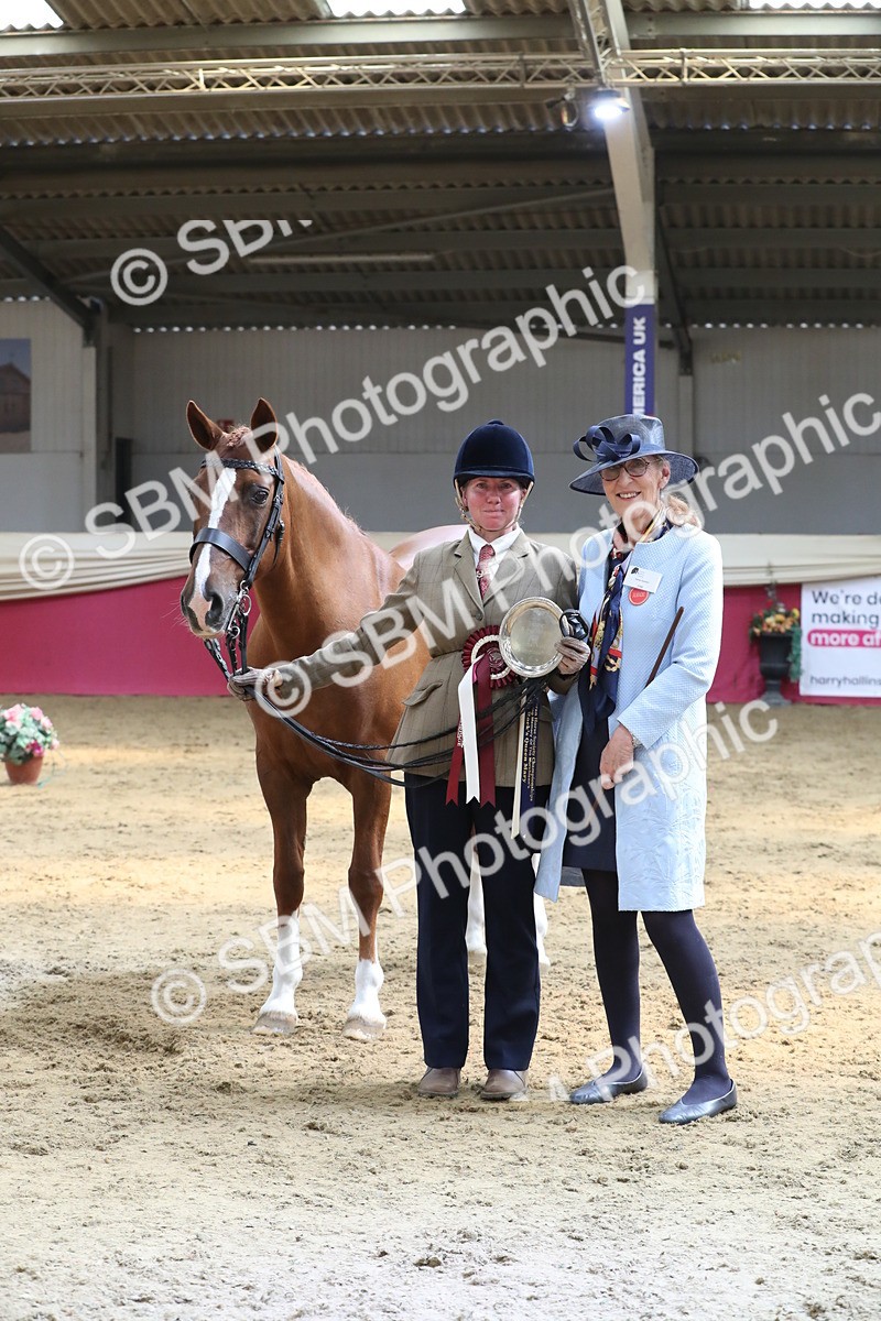 SBM_04458 - Class 7R Regional - IH Diamond