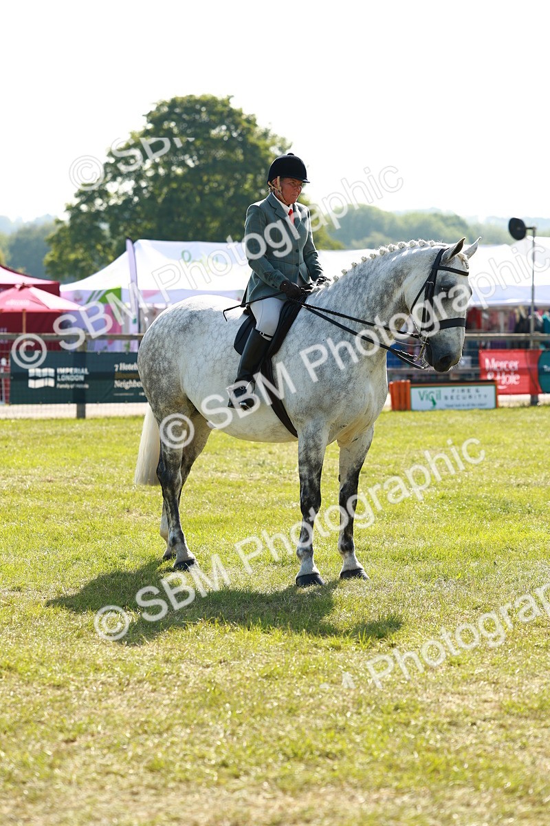 SBM_11839 - Class 66-69 - RIHS Ridden Hunters Inc Small Hunter
