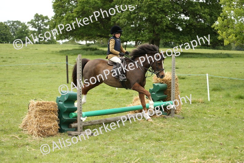 20250517-1151 - Class 21 - Novice Working Hunter