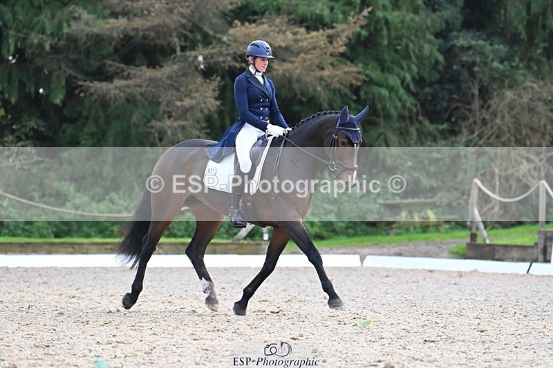 231019-145118-04292 - 057-OVERTON.TILANA'S.GOLD-Claire.Deuten-DR