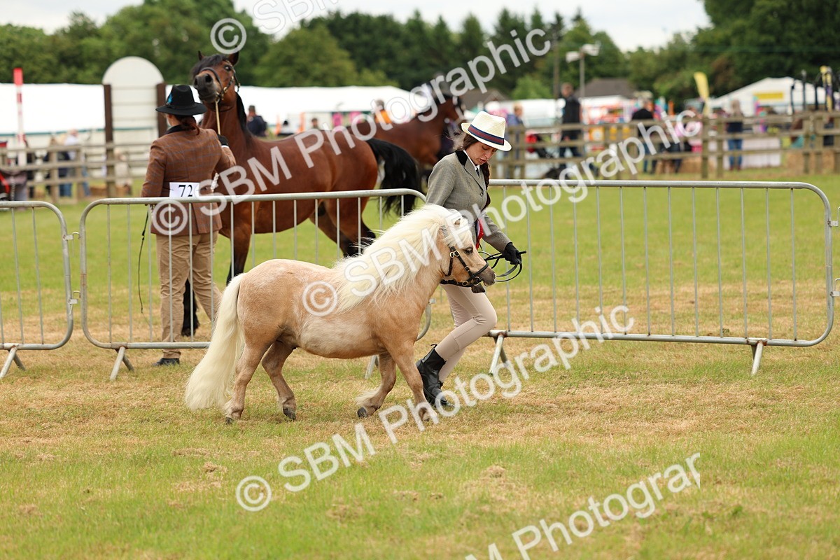 SBM_03492 - Class 58-67 - M&M Non Welsh Pony In hand