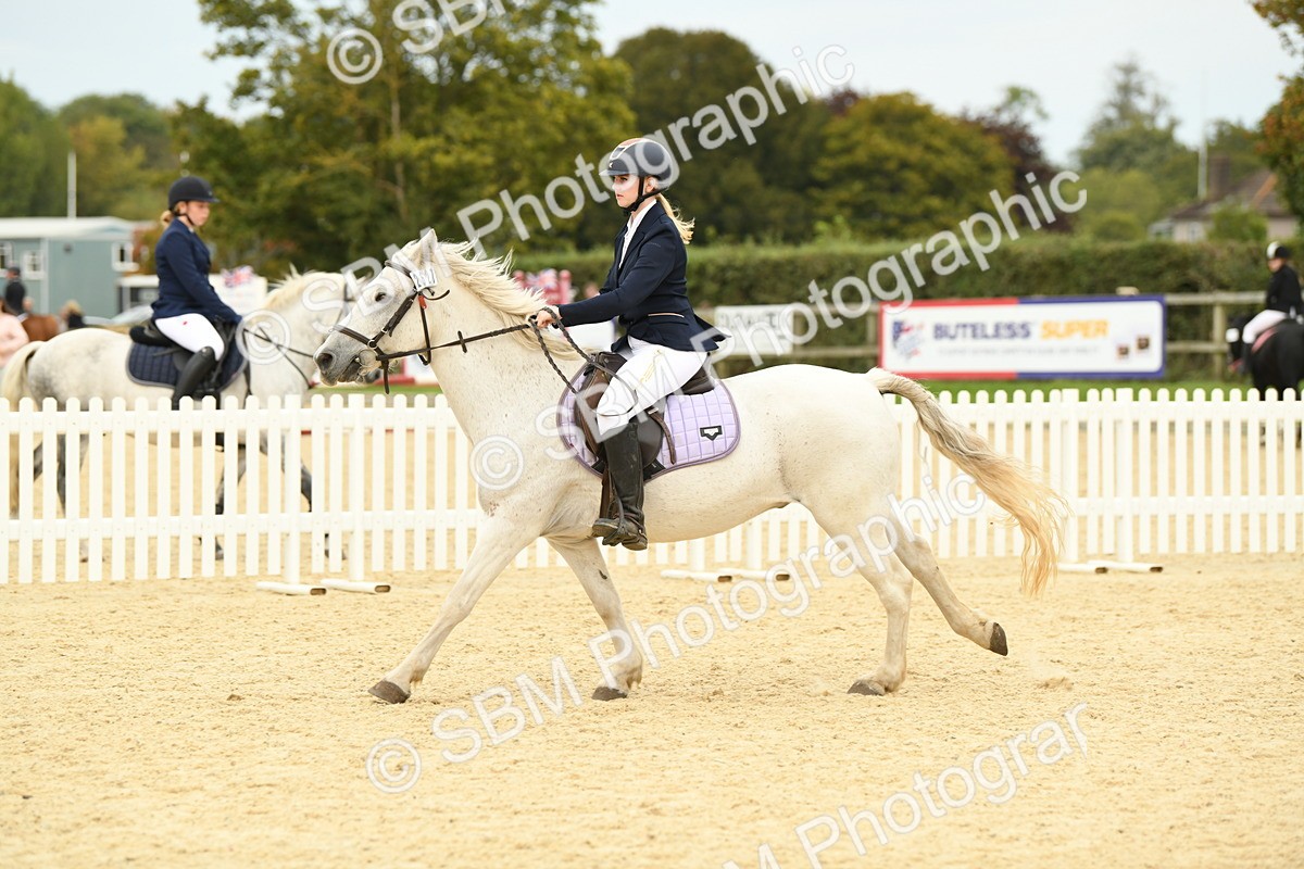 SBM_72976 - J16 - Junior Pony 75cm Championship