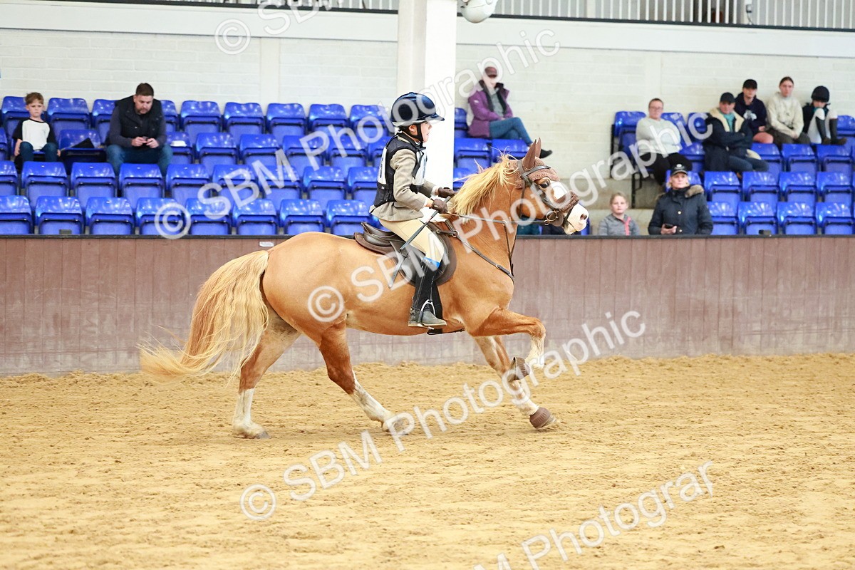 SBM_006209 - Class 4 - 70cm